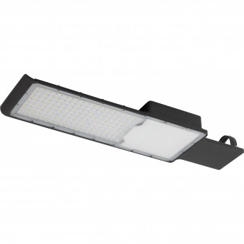 Уличный светильник ЭРА SPP-503-0-50K-120 120Вт 5000К 12000Лм IP65 КСС Ш-с DOB-SMD 48/60мм Уличный светильник ЭРА SPP-503-0-50K-120 120Вт 5000К 12000Лм IP65 КСС Ш-с DOB-SMD 48/60мм